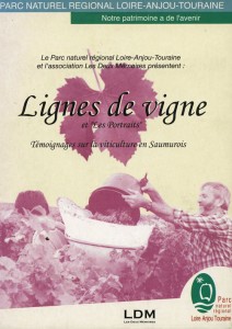 Lignes de vigne
